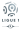 L1