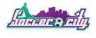 ASNL Foot'Indoor