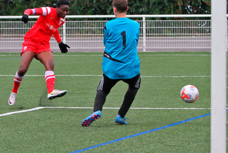 L'album d'ASNL-St Nabord (F)