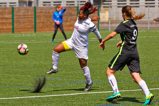 L’album de Nancy-Moulins les Metz (F)