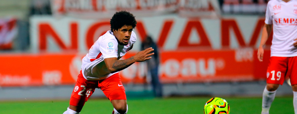 Le chardon pour Vagner