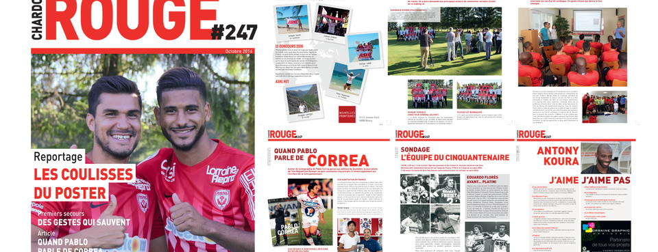 Le chardon rouge 247