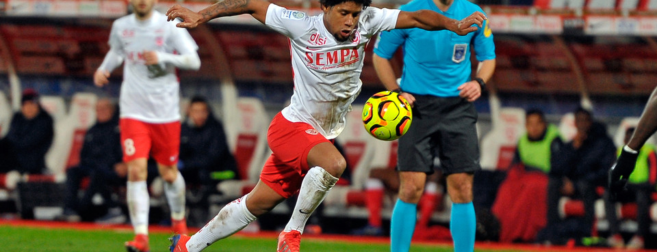 Le chardon pour Vagner