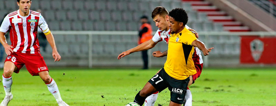 Le chardon pour Vagner