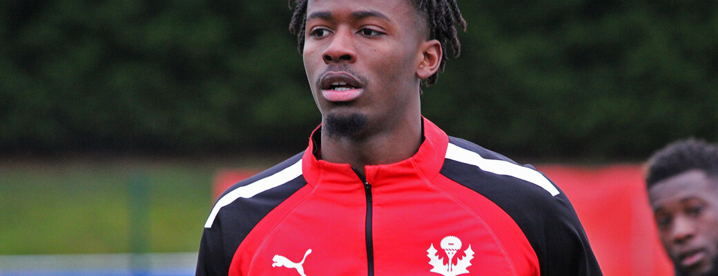 Basila, un potentiel à valider