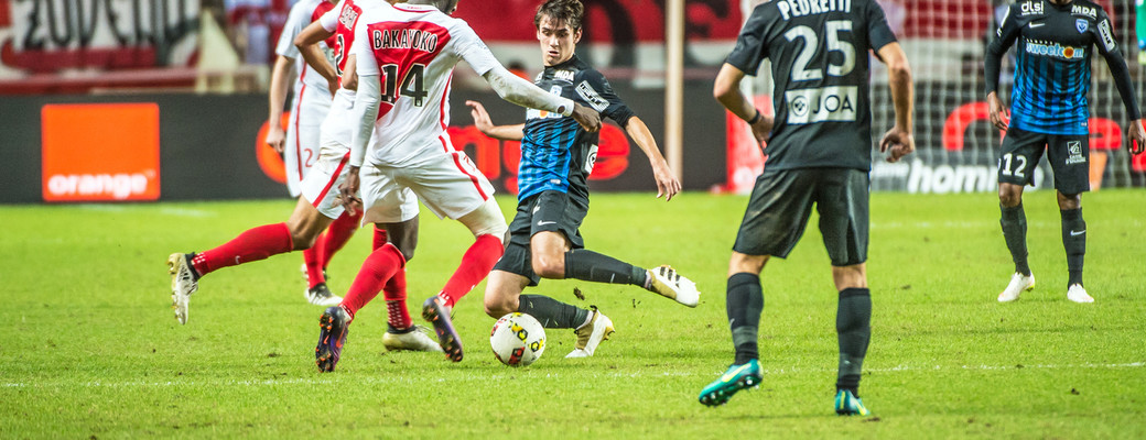 La fiche d'ASM-ASNL