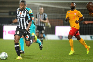 La fiche de SCO-ASNL