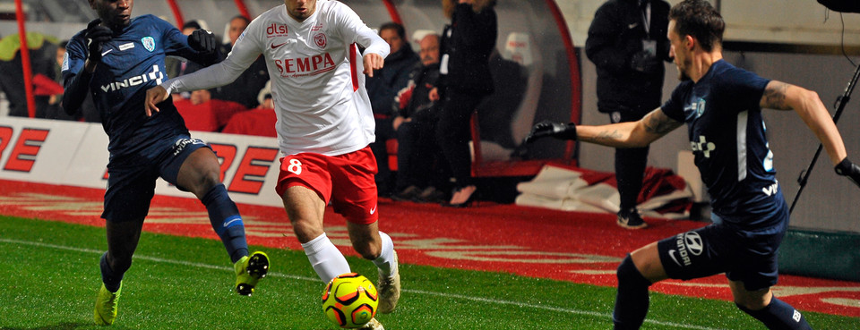 Le chardon pour Marchetti