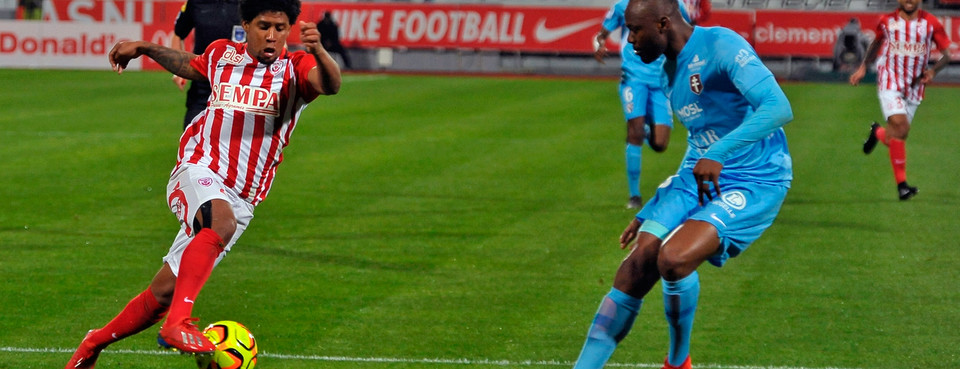 Le chardon pour Vagner