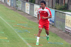 Vahirua travaille dur