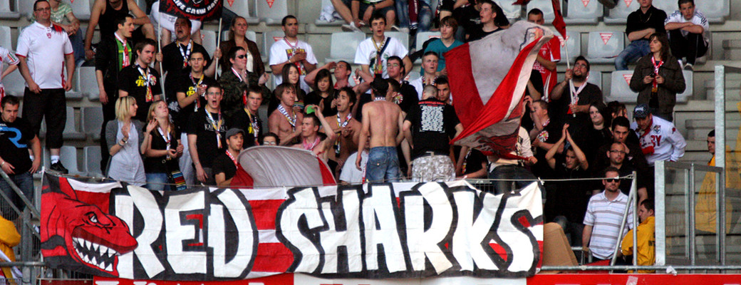 Les Red Sharks déménagent