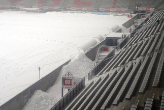 Picot sous la neige