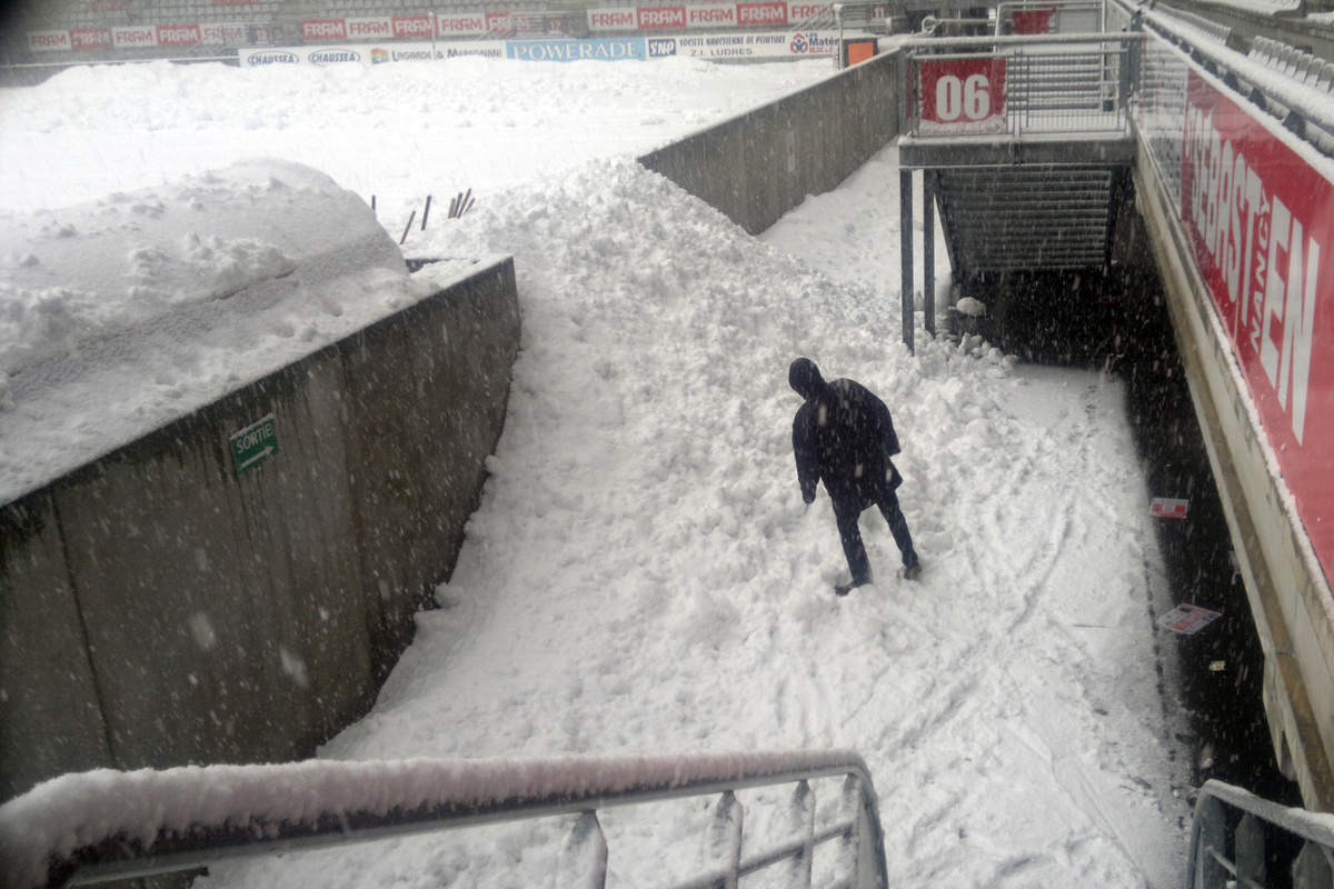 Picot sous la neige - Photo n°0