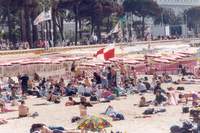 Le train de Cannes en 1992 - Photo n°12