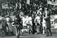 Finale de la coupe de France 1978 - Photo n°30