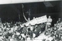 Finale de la coupe de France 1978 - Photo n°7