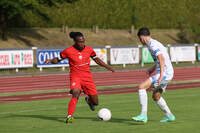 Thaon-Nancy - Photo n°5