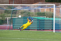 Thaon-Nancy - Photo n°9