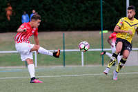 ASNL/Vauban en CFA2 - Photo n°3