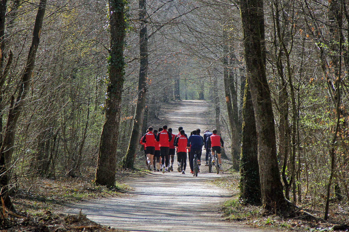 Du physique à la Sapinière - Photo n°14