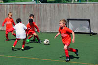 L’Euro de l’école de foot - Photo n°20