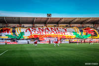 Le tifo des 50 ans - Photo n°8