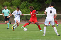 Thaon-Nancy - Photo n°14