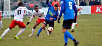 Le résumé de Le Puy-Nancy (CDF)