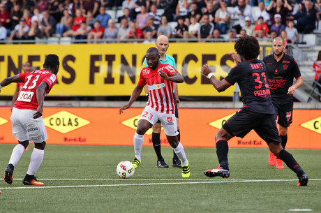 Le résumé d'ASNL-OGCN