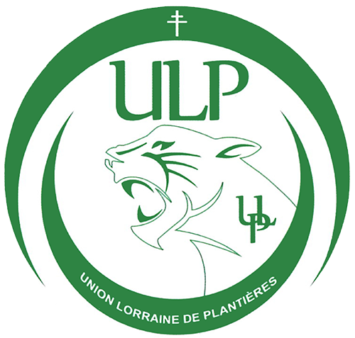 UL Plantières